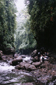 небольшая река, вытекающая из озера Кальдеры, ведет свой путь в ущелье, в окружении леса